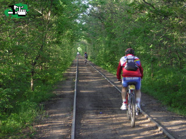 LOBOS - A. CARBONI  - LAG. DE LOBOS - LOBOS.