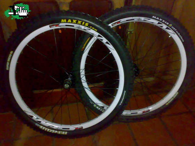 recien llegadas!!