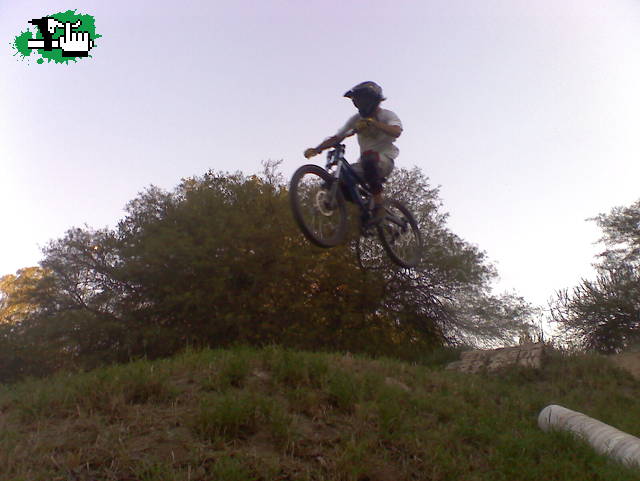 MINI DH cba