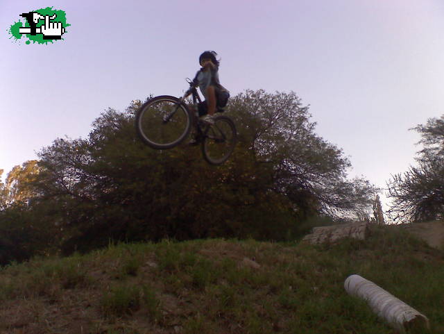MINI DH cba