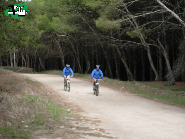 como a 20 km/h!!!
