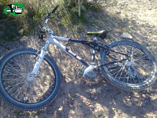 ¡¡¡ROBO DE BICICLETA!!!