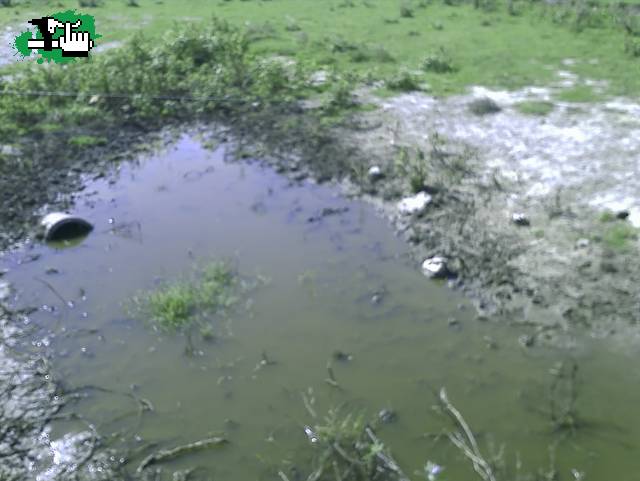 el lago de carlos 2 años despues