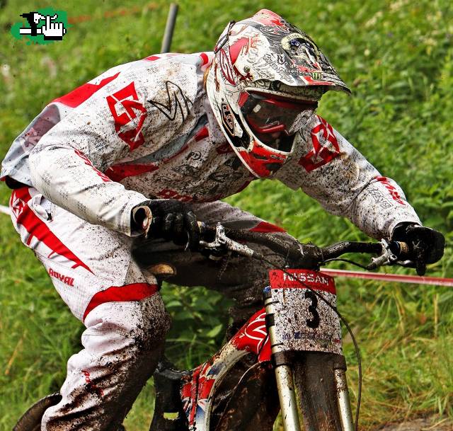 steve peat..