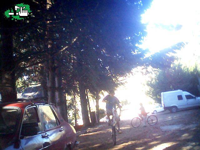 Willy probando jaja