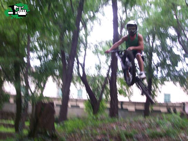 bosquesito