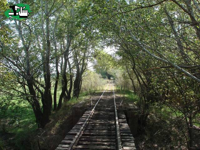 Vías del Belgrano Sur