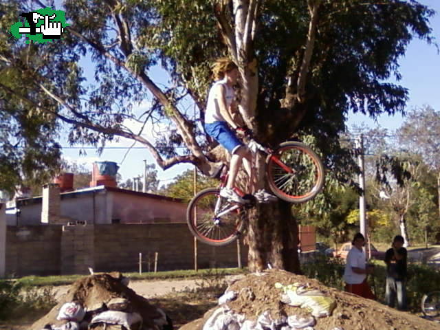 nano q salto
