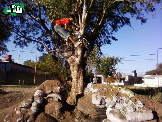 pico haciendo el exa