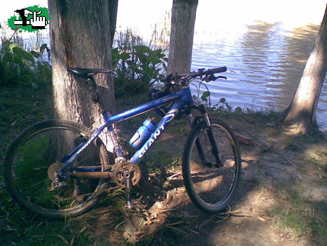 descansando despues de la comida...
