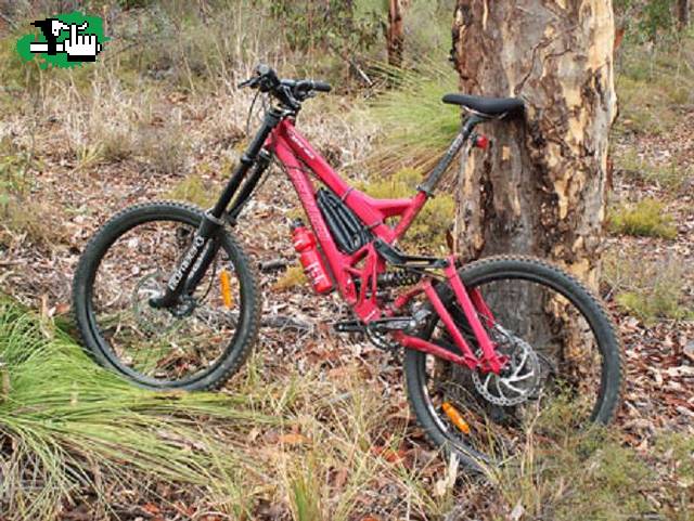 DEMO EXCURSIONISTA