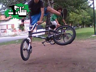tailwhip