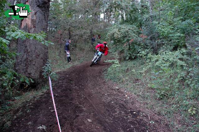 DH SM  SERENELLI