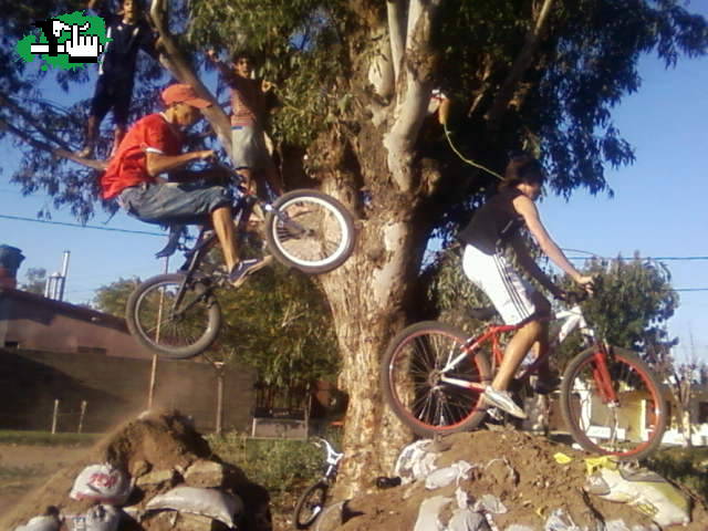 NNO ZARPADO ENCIMA SIN CASCO