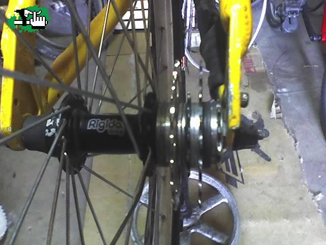 proyecto dirt. 2