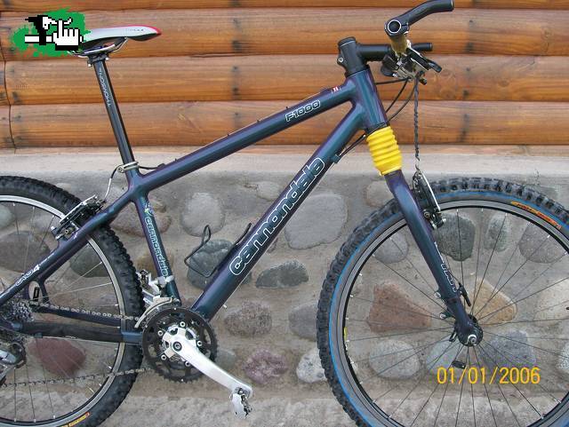 tiburon7