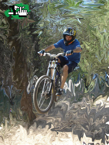 MIni Dh Team