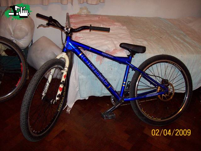 QUE LINDA QUEDO LA RIGIDA!