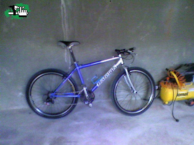 MI vieja raleigh