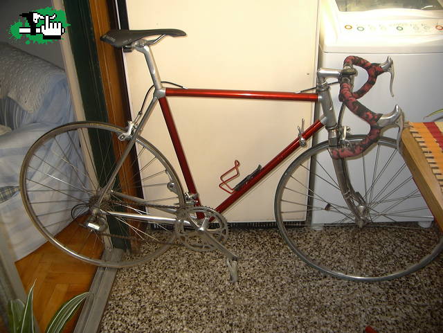 Vitus