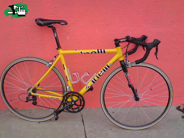tiburon7