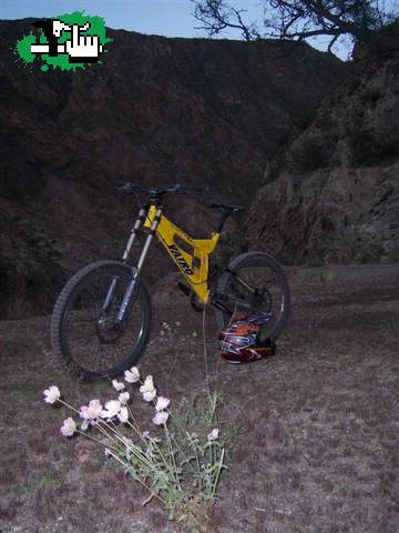ESTE AÑO LO ENCARO CON ESTA NAVE EL QUE VIENE VEREMOS....JOOO