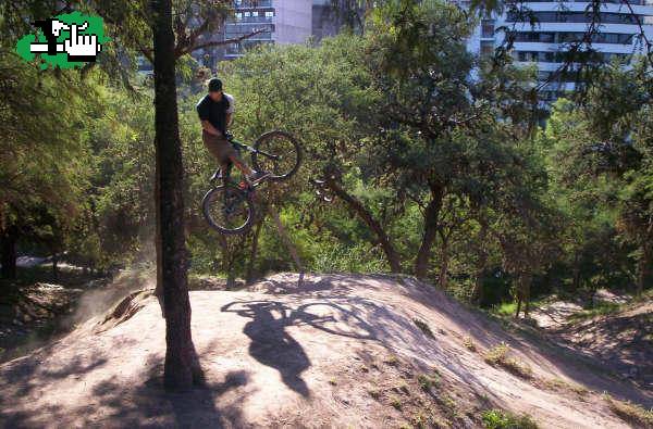 MINI DH