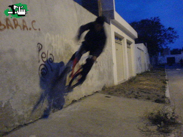 PRIMEROS WALLRIDES