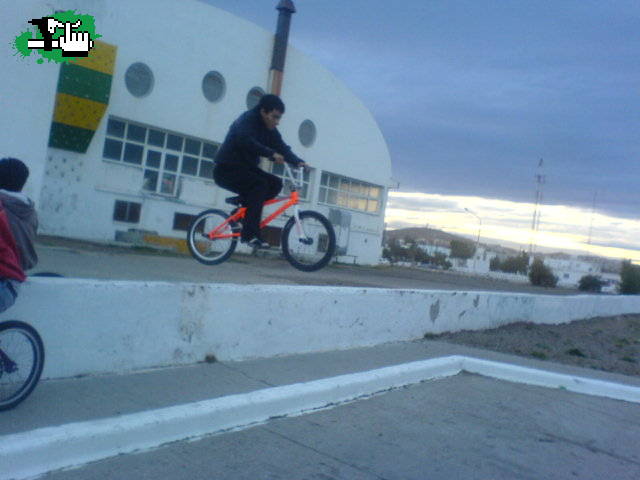 volando PAREDON