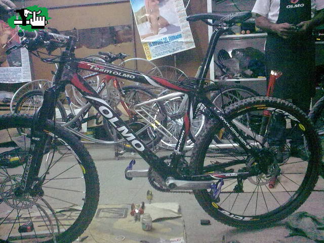 olmo carbono !