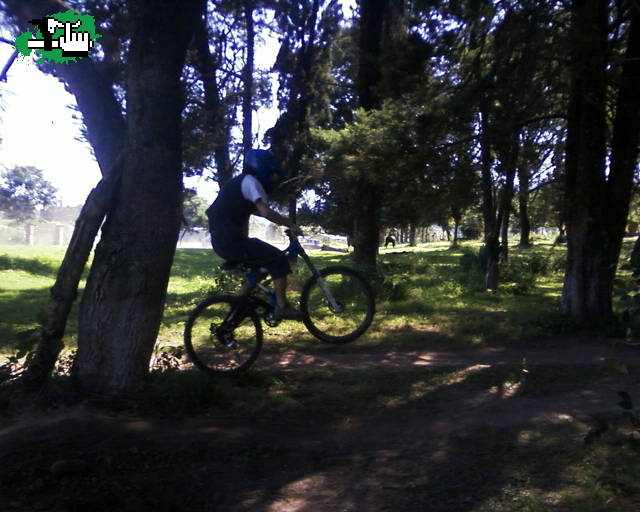 ahi toy yoo