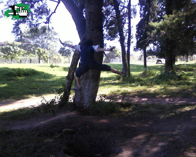 saltando en el aire sin manos sin pies y sin bici jaja salio volando no se donde kedo,, me salio re 