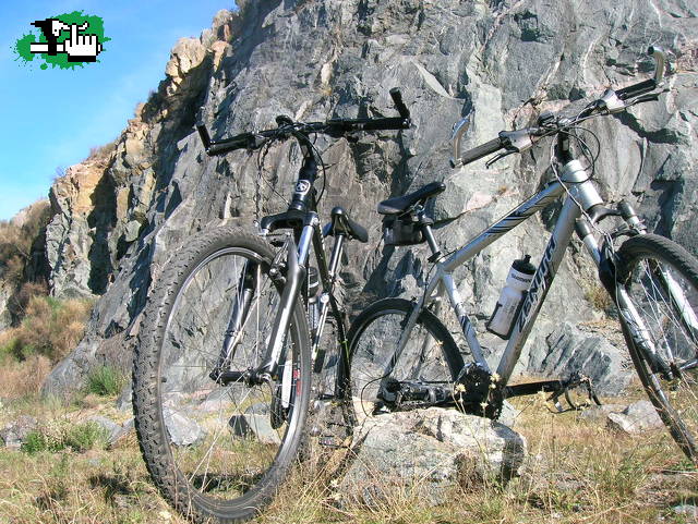 Salidita 1