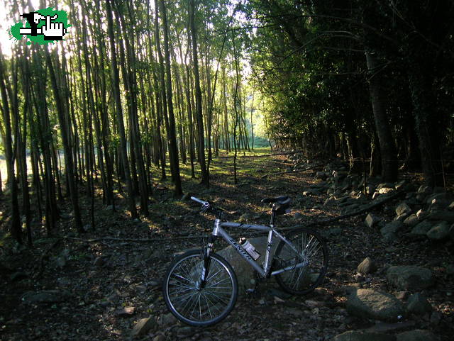 Manta en el monte