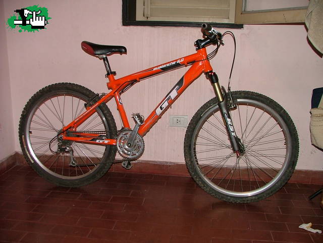 luiscoll