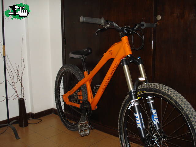 DIRT DEL FARO