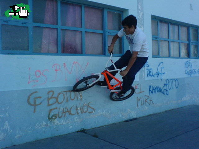 WALLRIDE EN EL JARDIN