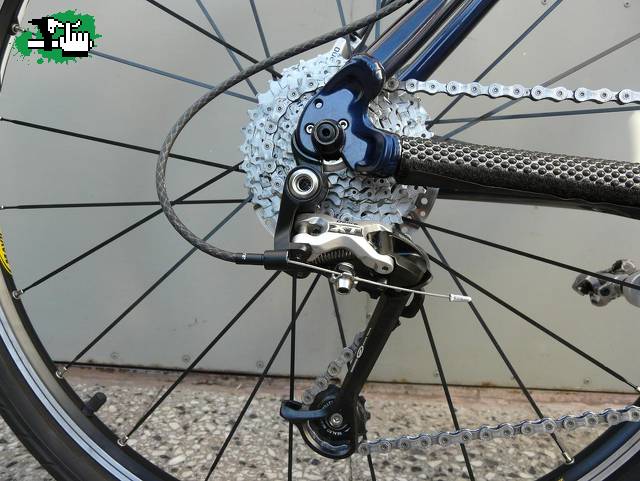 patomtb