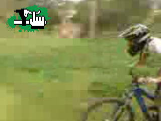 tope 5