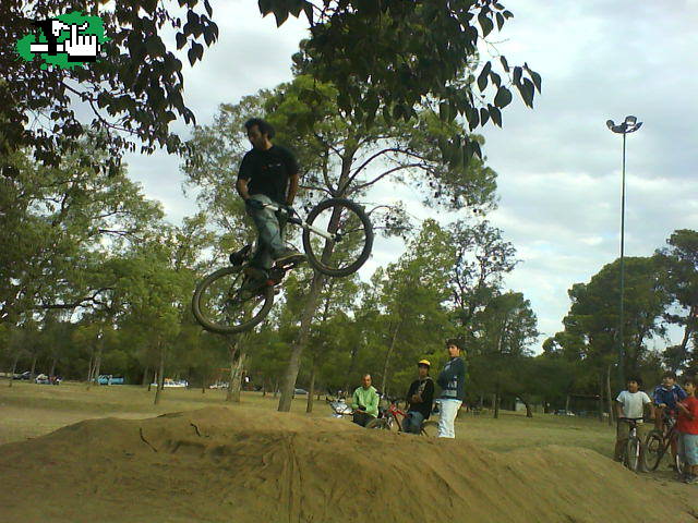 MNI DH