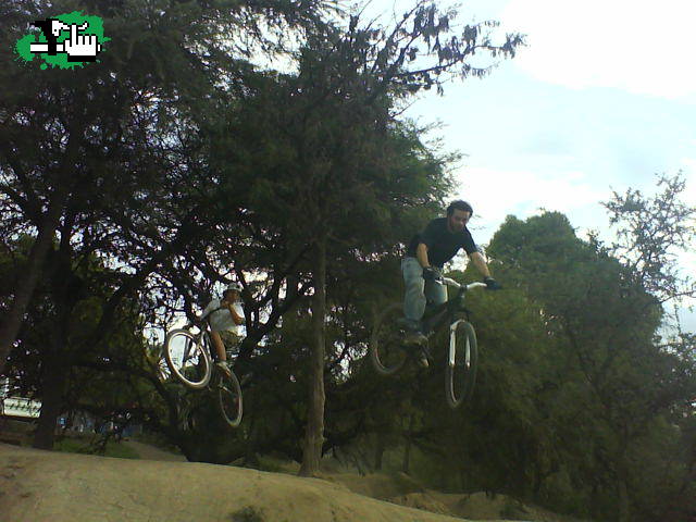 MINI DH
