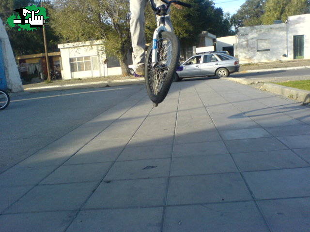 SEBA TIRANDO BARSPIN