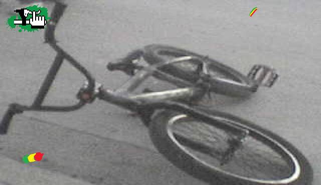 my bike