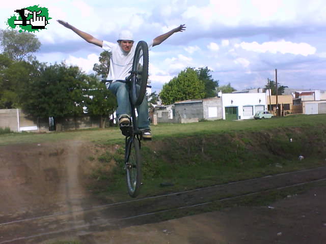 condor