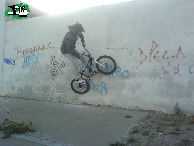 SEBA WALLRIDEEE