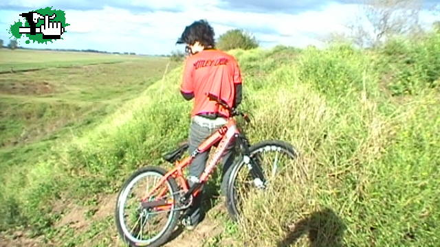 alta posee