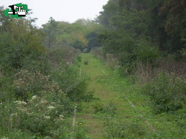 Los 3 chiflados del pedal: Mansilla-Atalaya