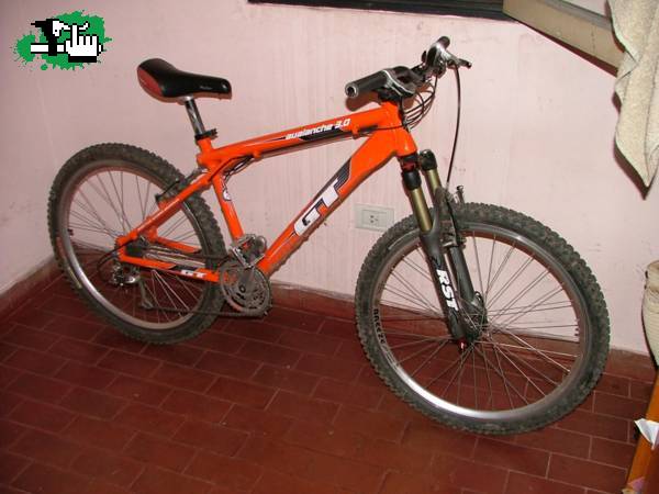 luiscoll