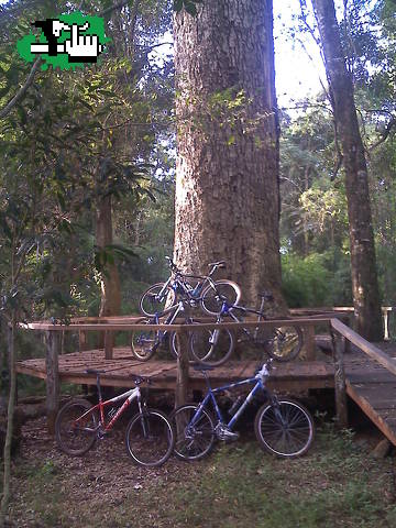 Una tarde por Misiones