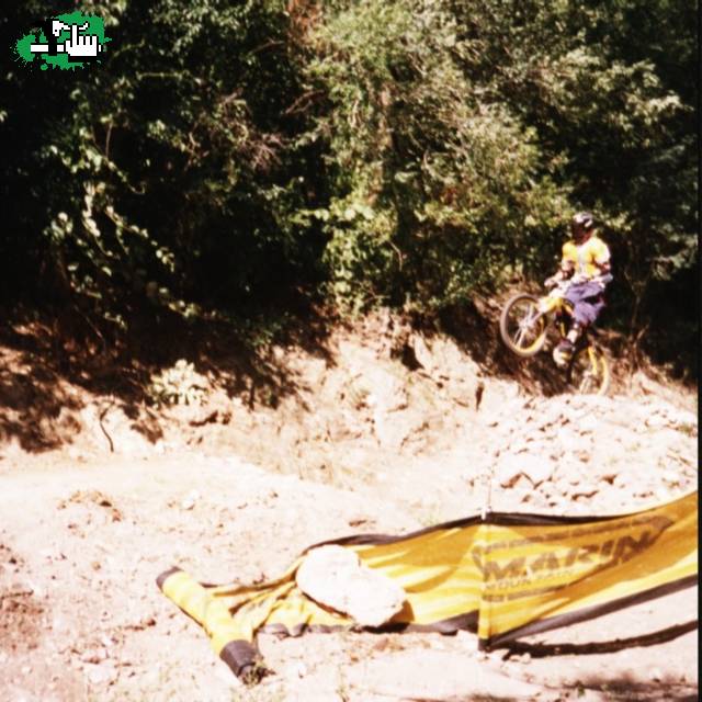 Copa de verano VCP 2003